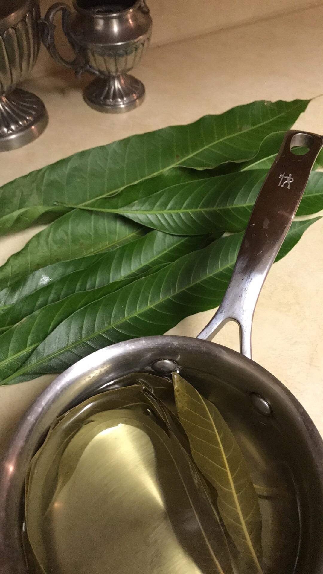 65 organic Mango leaves